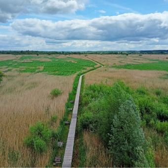 trasa-rowerowa-Przemkowski-Park-Krajobrazowy-widok-na-pomost-prowadzący-do-wieży-340×340