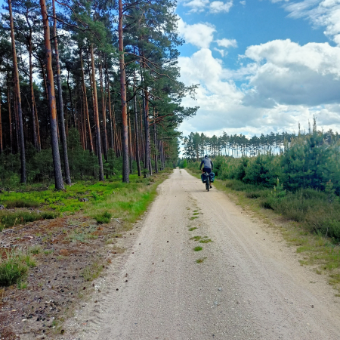 trasa-rowerowa-drogi-pożarowe-na-terenie-Przemkowskiego-Parku-Krajobrazowego-340×340