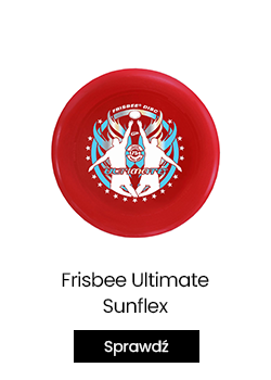 blog-frisbee